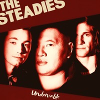 Undeniable by The Steadies