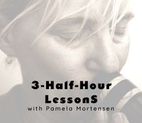 3-Half Hour Online Lesson Package