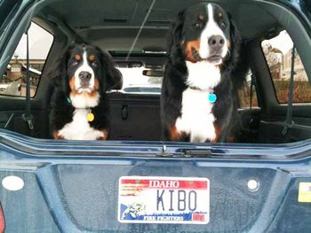 Kibo's car with big brother Eiger
