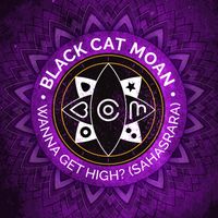 Wanna Get High? (Sahasrara) by Black Cat Moan