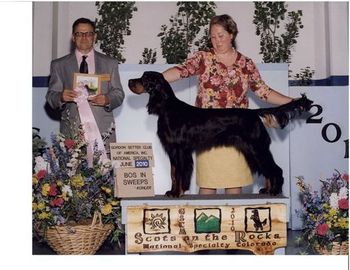 BOS in Puppy Sweeps 2010 National. Judge Mick Osman
