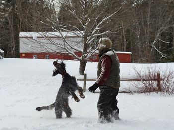 Hamish McCrackin (Zeus x Clare) having a ball in the snows of Maine
