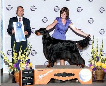 Gold GCH Hollyhunt Take A Chance On Me (Hunsinger)
