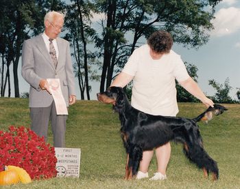 Fair Isle Shadow In The Nite - BOS Puppy Sweeps GSCA MidAtlantic '96
