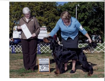BOS/Puppy Sweeps @ GSCA 1/Macungie PA Sep 2010
