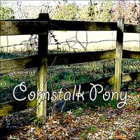 Cornstalk Pony by Lana Puckett and Kim Person