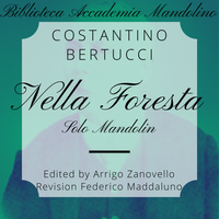 Costantino Bertucci - Nella Foresta (Melodia) - Mandolino solo
