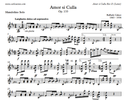 Raffaele Calace - Amor si Culla op. 133 - Mandolino solo