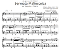 Raffaele Calace - Serenata Malinconica Op. 120 - Mandolino e Chitarra