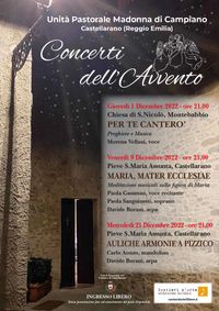 Carlo Aonzo mandolino & Davide Burani arpa
