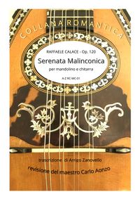 Raffaele Calace - Serenata Malinconica Op. 120 - Mandolino e Chitarra