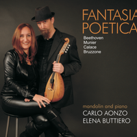 Fantasia Poetica by Carlo Aonzo