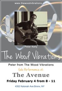 Peter Kelly of The Wood Vibrations Solo Show