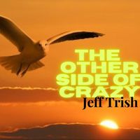 The Other Side of Crazy by Jeff Trish
