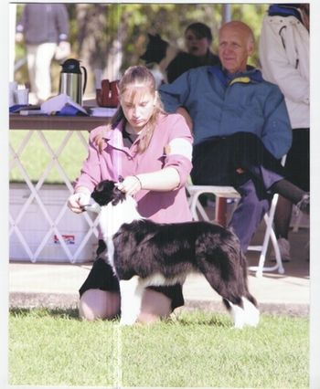 Raine's very first show was at the 2006 Border Collie National where she placed 2nd in a very tough 6-9 month class!

