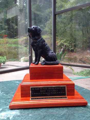 Best Veteran Trophy First Awarded October 10, 2014  In Memory of CH OCEANSPRAY'S BLACKJACK CD RN AM RN "Cole"  Donated by Elizabeth Jones and by Carol Jones - Oceanspray Labradors  AWARDED TO:  2014 - BLACKTHORN'S HIGH FELUTIN
