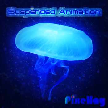 Suspended Animation
