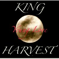 Young Love by King Harvest