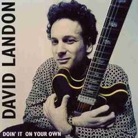 Doin' It On Your Own by David Landon