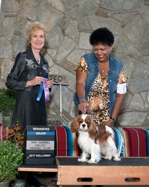 AKC Judge: Mrs. June A. Penta
9-12 puppy class 
Major win!