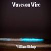 Waves on Wire: CD