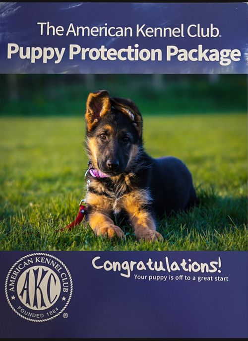 The AKC Puppy Protection Package