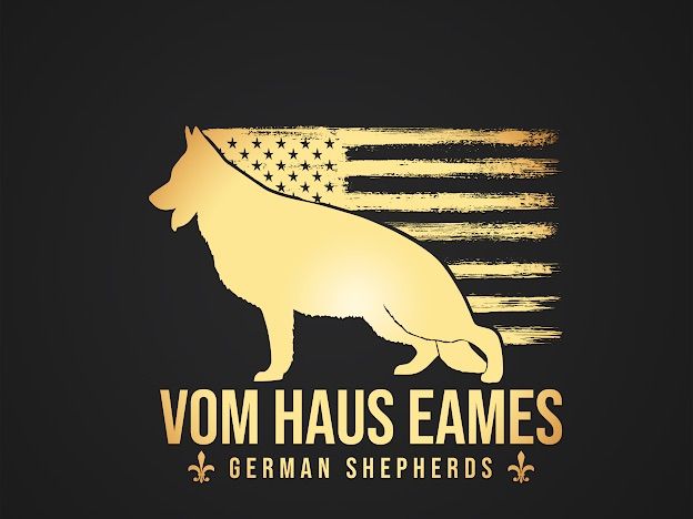 VOM HAUS EAMES GERMAN SHEPHERDS