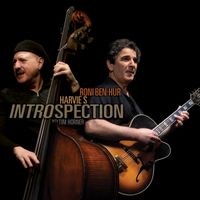 Introspection (CD)
