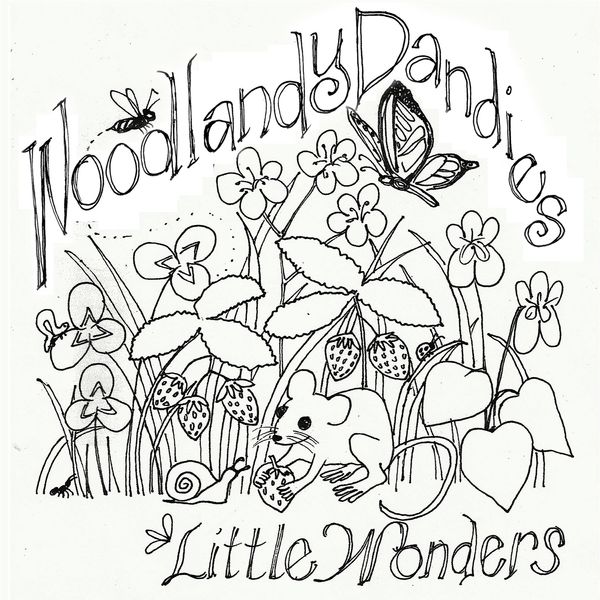 Woodlandy Dandies ~ Little Wonders: CD