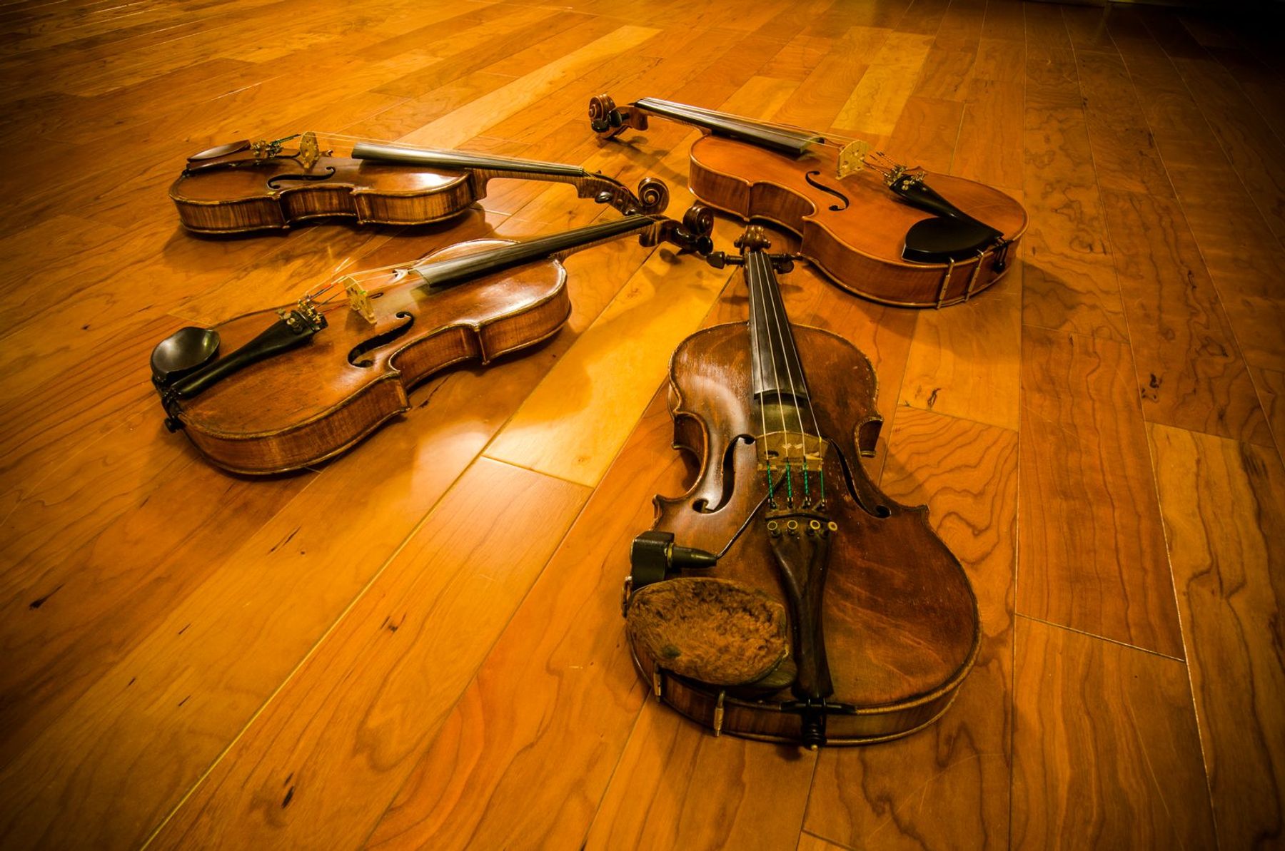 Bulverde Academy of Music