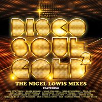 Disco Soul Gold (Nigel Lowis Mixes) Vol 2 by Disco Soul Gold Music
