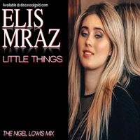 Little Things (Nigel Lowis Mixes) by Elis Mraz