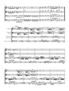Vivaldi - Cello Concerto in C minor, RV 401 (Urtext Edition)