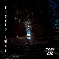 Tucked Away by Tony Oso
