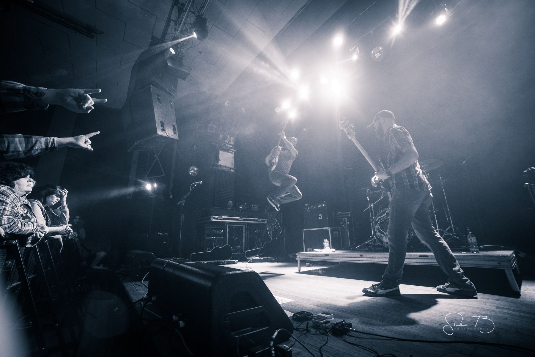 Orchid In The Ivy Photos