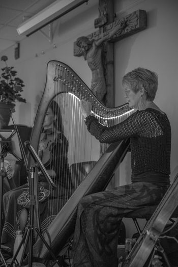 Michigan Harp Festival
