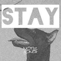 Stay by Notiz YONG