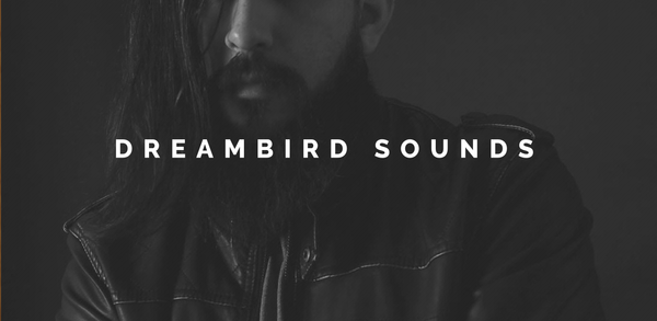 DreamBird Sounds, the Mick Heron production company specializing in remote recordings. Let's chat about your vision and transform them into the dream production you've always wanted, remotely.