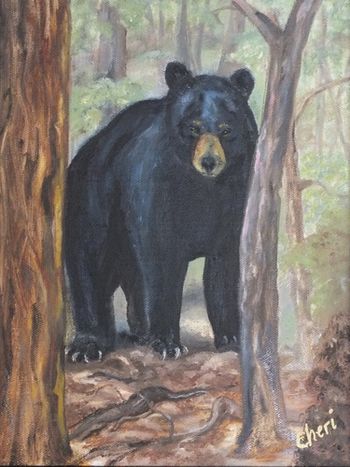 Black Bear in the Woods of West Milford,NJOil9" x 12"
