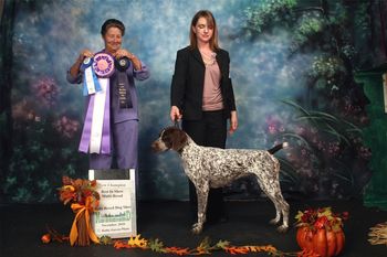 Emily going BEST IN SHOW at 16 months at a UKC Show

