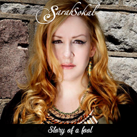 Story Of a Fool by Sarah Sokal