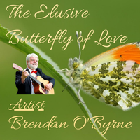 The Elusive Butterfly of Love by Brendan O'Byrne