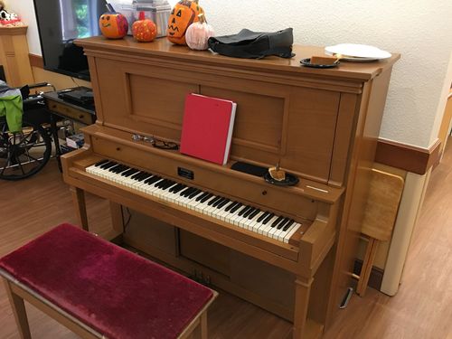 You’re looking at a rare Mansfield piano. Very few of these guys around. They were only built over a ~20 year spell, this one is from around ~ 1920. Cannot pin down the year for certain.  (Notice the matching piece of pumpkin pie sitting on the instrument.)