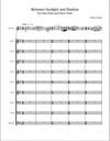 Between Sunlight and Shadow - Solo Horn and Horn Choir (opt. Tuba) - Full Score and Parts (PDF)