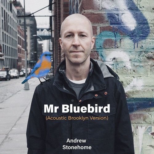"Mr Bluebird (Acoustic Brooklyn Version)" Album Cover