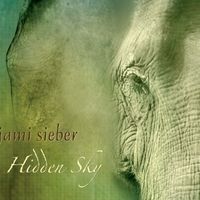 Hidden Sky by Jami Sieber