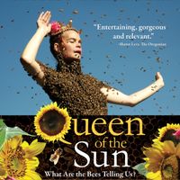 Queen of the Sun by Jami Sieber