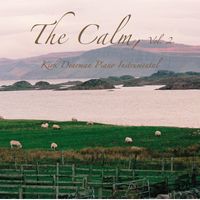 The Calm Vol. 2 -  Digital Download: CD
