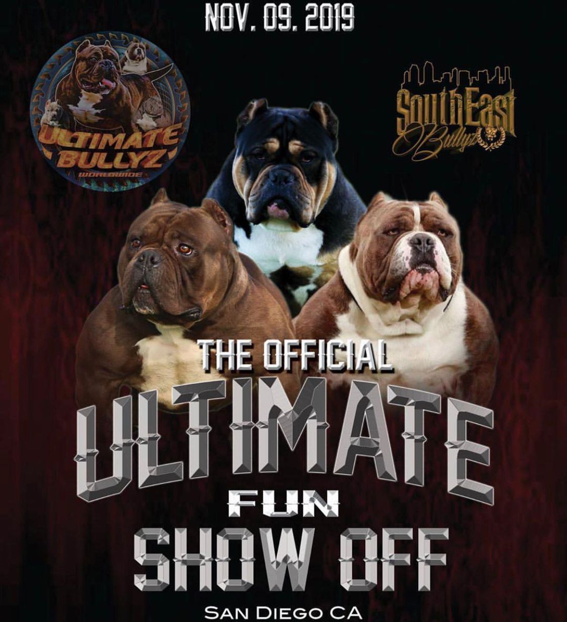 TrilateralBullyKamp Next Dog Show