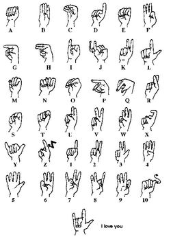 Quick Sign Language Guide Rachel Sumner - signlanguage